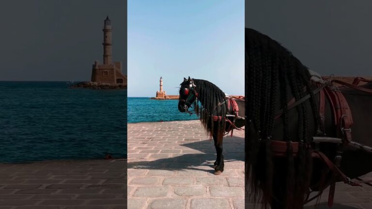Kreta Urlaub #reisen #urlaub #reise #nature #reiseziele #kreta #griechenland #shorts
