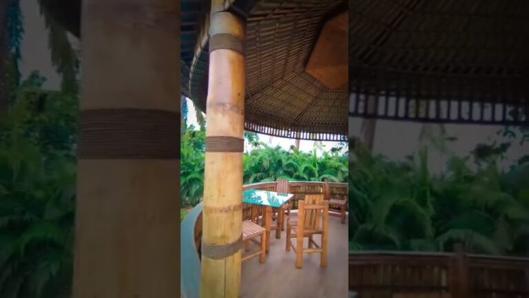 Landscape Video Clips | Beautiful Landscape Short | Nature Lovers