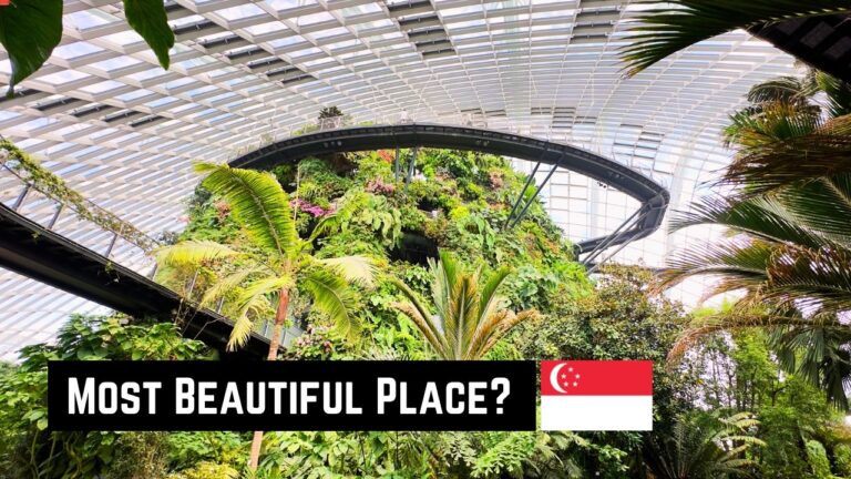 The Most Beautiful Spot in Singapore? Cloud Forest, Skyway & Super Tree