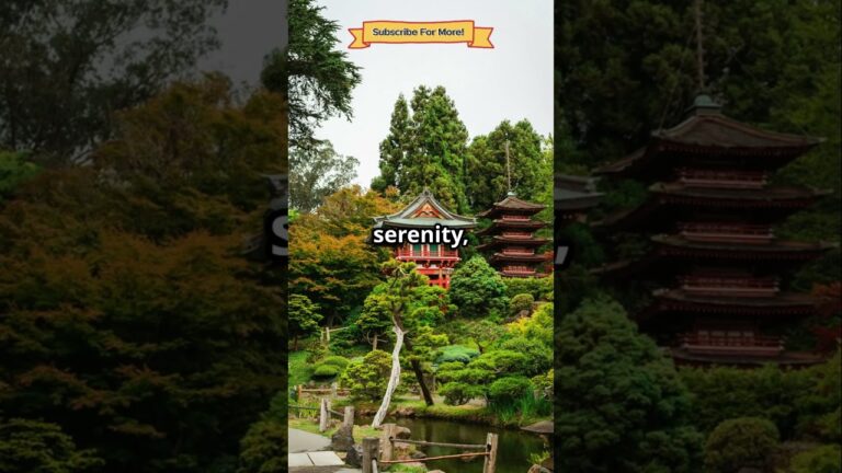 Discover Japan’s Top 3 Spiritual Escapes for 2025 🇯🇵