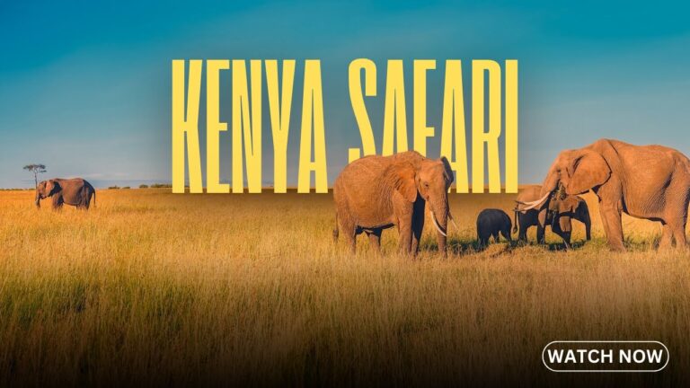 Safari Adventure in Kenya – The Ultimate African Experience! – Travel Video