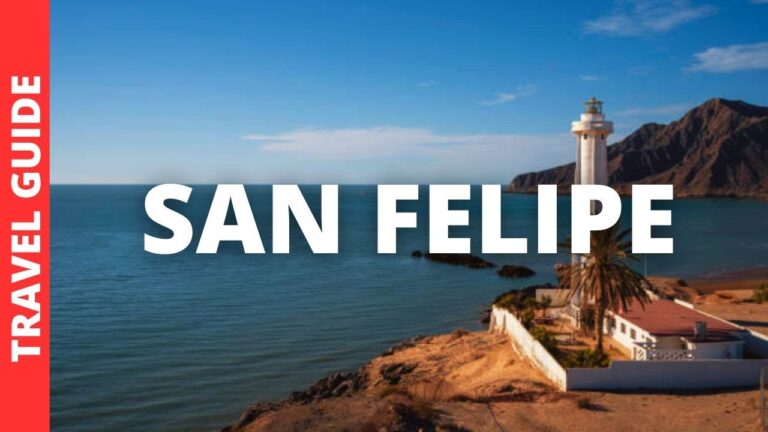 San Felipe Baja California Travel Guide: 11 BEST Things To Do In San Felipe Baja CA
