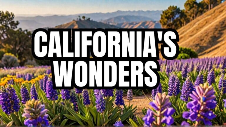 9 Natural Wonders Of California- Best Places To Visit In May | Most Beautiful Places to See