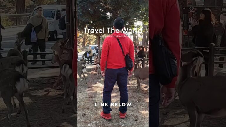 #TravelGoals, #Wanderlust, #Adventure, #shorts, #YouTubeShorts, #Trending, #Explore, #foryou