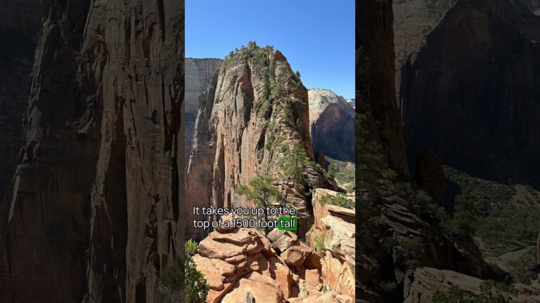 The No  1 Thing To Do in Zion National Park #zion #zionnationalpark #usnationalparks