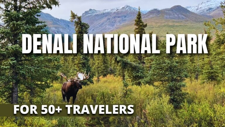 Denali National Park: Moose, Trails & Scenic Bus Ride