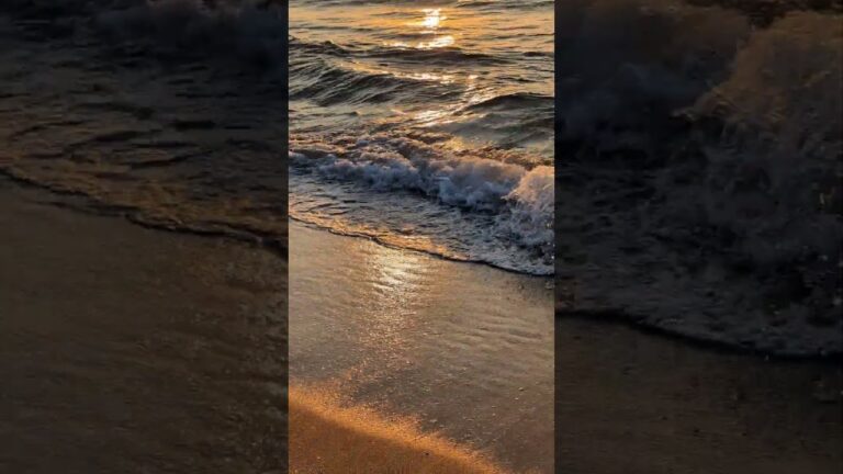 Wonders Of New Zealand Beach Video 2023 #visit #beach #facts #travel #holiday #nature #newzealand