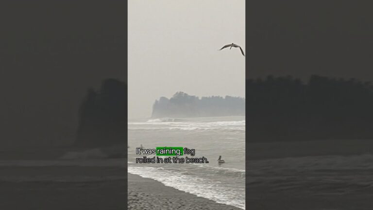 Tip No. 9 for Visiting Olympic National Park #OlympicNationalPark  #TravelTips #USNationalParks