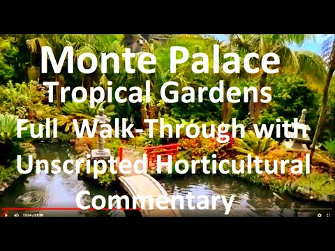 Tropical Gardens at Monte Palace, Madeira – Full Unscripted Walk-Through with Plant Identification