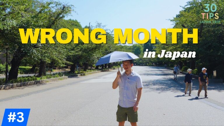 A Japanese Local’s HONEST Guide: The BEST (and Worst) Time to Visit Japan