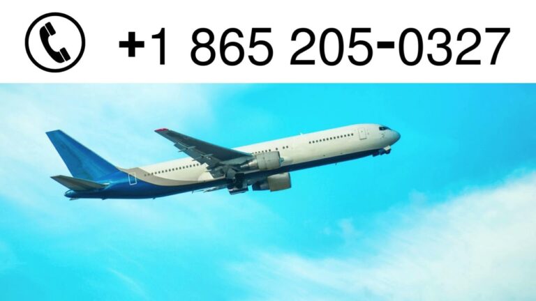Solving Travel Issues: How to Use Expedia Customer Service Effectively