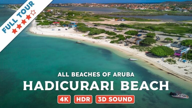 Hadicurari Beach, Aruba — Beach Walking Videos of ALL Beaches of Aruba (4K, HDR, 3D Sound)