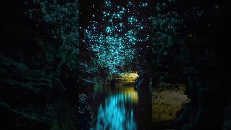 Most Beautiful Places in New Zealand 🇳🇿😱 #travel #adventure #explore